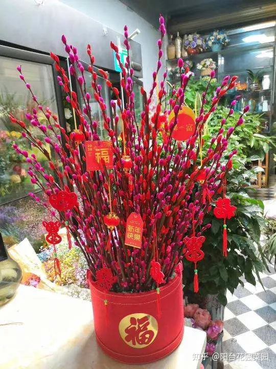 开红花好养的植物，5种“红火花”，养在家里红红火火，鸿运当头，好看又吉利