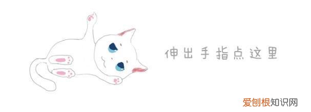 猫猫脚垫看性格,猫爪垫中能看出性格差异,学会分辨五类猫咪,找到适配自己的爱猫