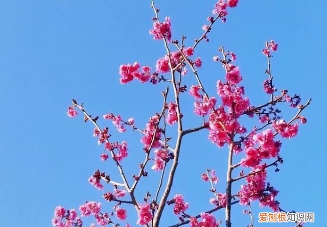 家庭最大的苦不是没钱 一个家庭最大的不幸不是没钱