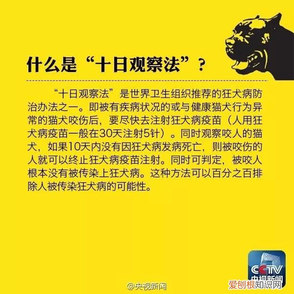被流浪猫抓了一下出了点血,被流浪猫抓了一下轻微破皮,被流浪猫抓了一下红印