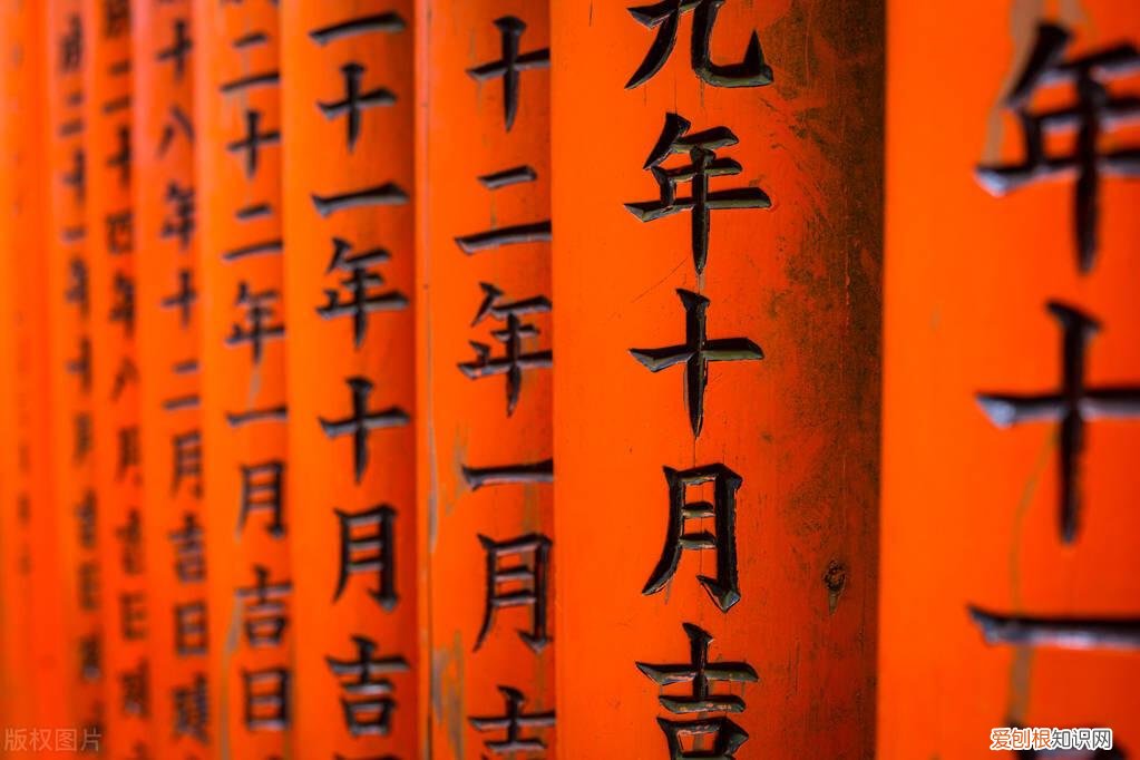 历史知识选择题目及答案，历史冷知识征文10建议读点历史通俗演义