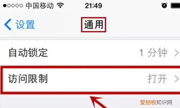 苹果手机要如何隐藏App图标