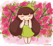 三角梅的养殖方法和注意事项 – 养殖日记，三角梅买来不会养，“5步法”教你养护，变成“