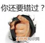 艾瑞巴蒂国际英语，艾端巴蒂是什么意思