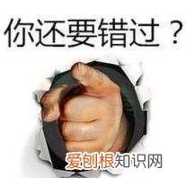 艾瑞巴蒂国际英语，艾端巴蒂是什么意思