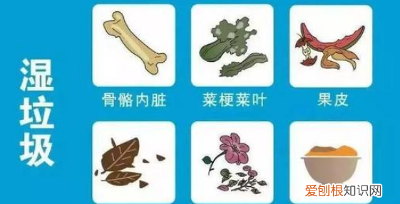 鲜花属于什么垃圾,干花瓣属于什么垃圾