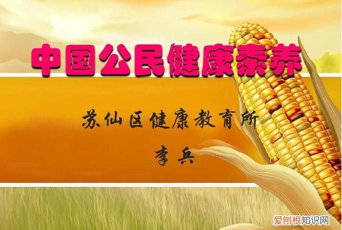 公民素养是指什么，公民需要提高哪些文明素养