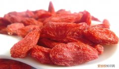 枸杞子是水果吗，枸杞属于什么类食物
