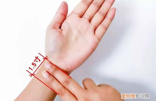 .5寸是几个手指，0.5寸是几个手指