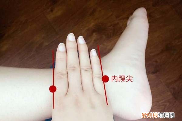 .5寸是几个手指，0.5寸是几个手指