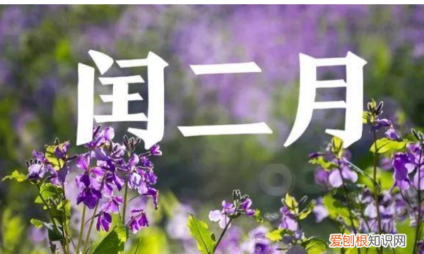 为什么闰2月，2023年是平年为什么闰二月