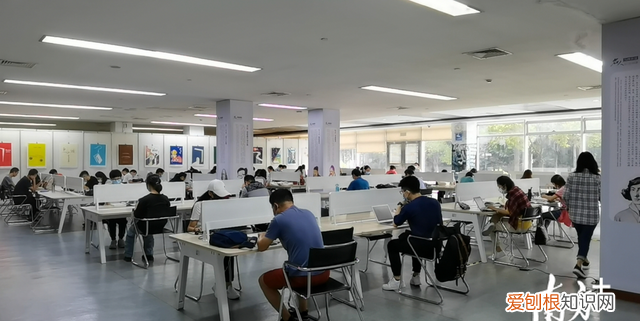 东莞市公共文化场所什么时候恢复
