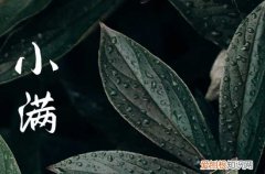 2024小满节气祝福怎么发 2024年小满祝福语句子
