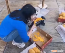 女子三亚旅游带了8箱芒果过安检