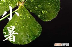 小暑是2023的几月几日