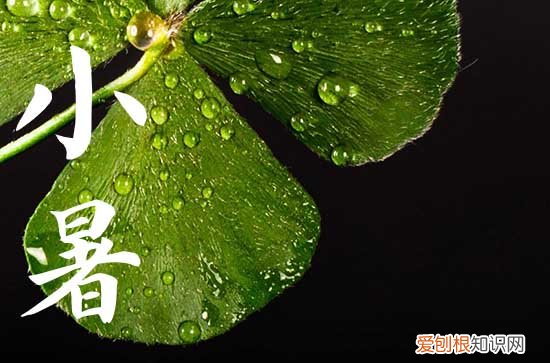 小暑是2023的几月几日