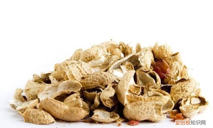 干的花生壳是什么垃圾桶的，花生壳属于什么垃圾分类哪一项