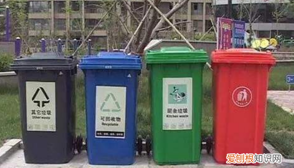 花甲的壳属于什么垃圾，花甲壳子属于什么垃圾