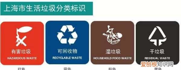 蛤蜊是干垃圾，蛤蜊壳属于什么垃圾