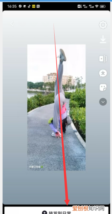 抖音怎么转发别人的作品，抖音怎么转发别人的视频没有水印