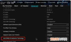 华硕主板如何开启VT功能，华硕主板开启vt虚拟化 amd