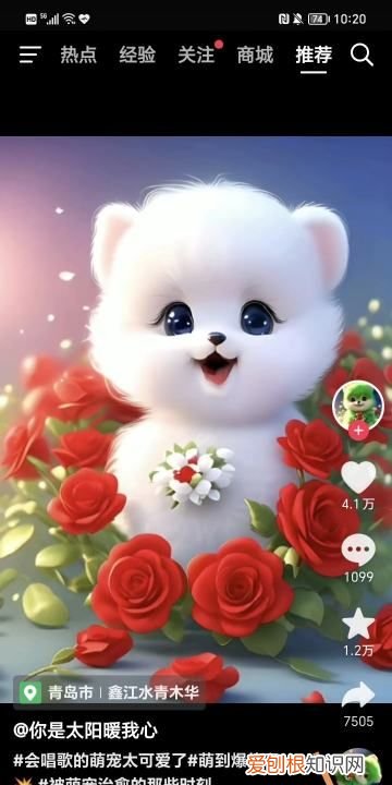 抖音怎么删除关注的人,抖音怎么取消关注的人