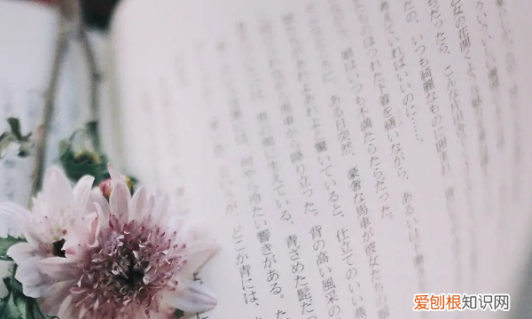 个人总结结尾怎么写,总结的结尾部分应该写什么选择题