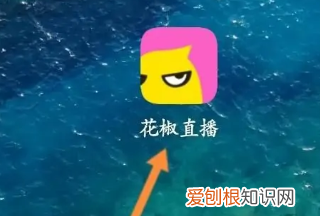 花椒直播怎么删除动态，花椒直播如何删除回放
