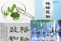 格物致知诚意正心是什么意思，格物致知诚意正心修身的理解