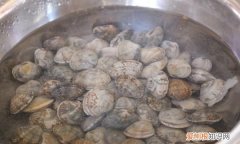 花甲肉为什么是红的，为什么炒出来的花甲是苦的
