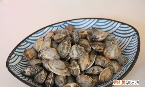 花甲肉为什么是红的，为什么炒出来的花甲是苦的