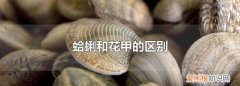花甲是蛤蜊的一种，蛤蜊和花甲的区别