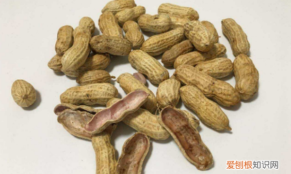 花生壳是什么垃圾，花生壳属于哪种垃圾分类