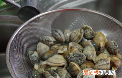 花蛤吃哪个部位，花甲的内脏可以吃吗有毒吗