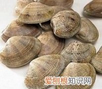 花蛤吃哪个部位，花甲的内脏可以吃吗有毒吗