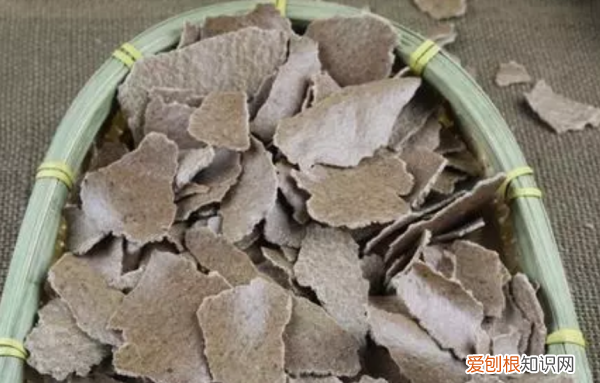 花生麸怎样沤制肥水，花生麸如何发酵做肥料