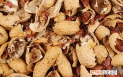 垃圾分类花甲算什么，花甲的壳是什么垃圾