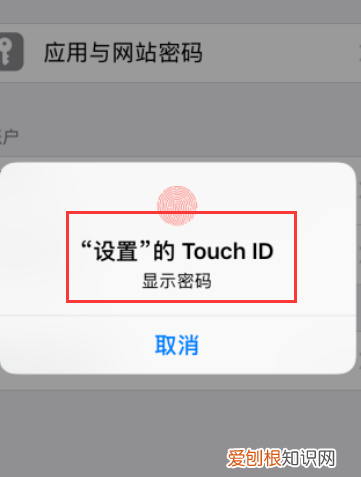 苹果自动填充密码怎么设置，苹果手机短信验证码自动填充怎么设置