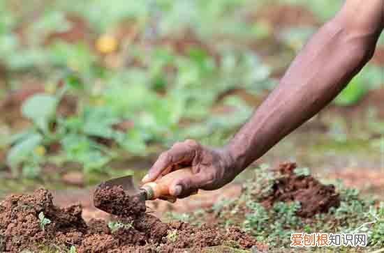 2024 五一劳动节祝福语经典短信大全