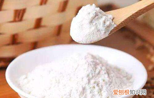 猫咪肾病能治好，猫得了肾病能治愈吗