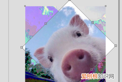 cdr软件怎么使用方法,cdr剪切蒙版工具怎么用