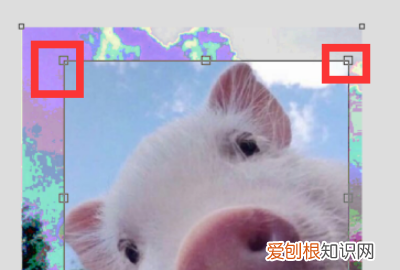 cdr软件怎么使用方法,cdr剪切蒙版工具怎么用