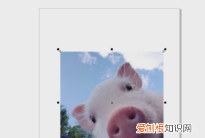 cdr软件怎么使用方法,cdr剪切蒙版工具怎么用