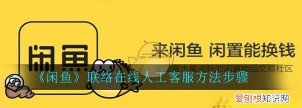 怎样在闲鱼联系客服，闲鱼如何能联系到人工客服