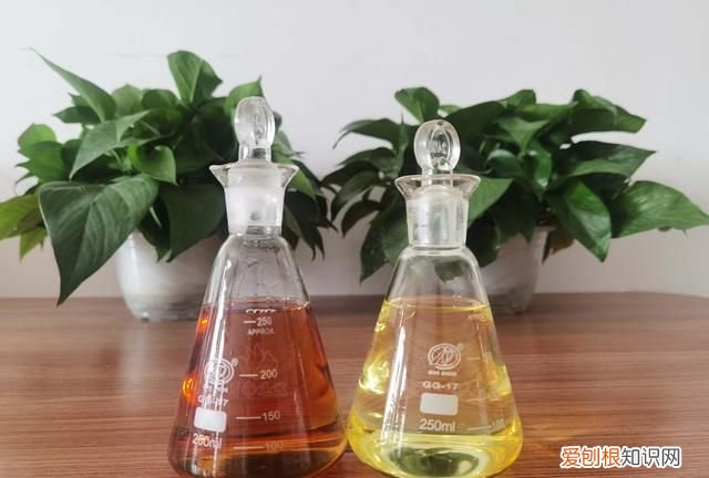 市面上的植物油燃料都有哪几种?该如何选择呢