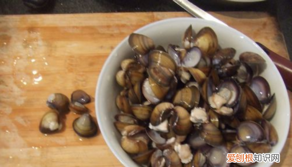 文蛤如何清洗，如何清洗“文蛤”