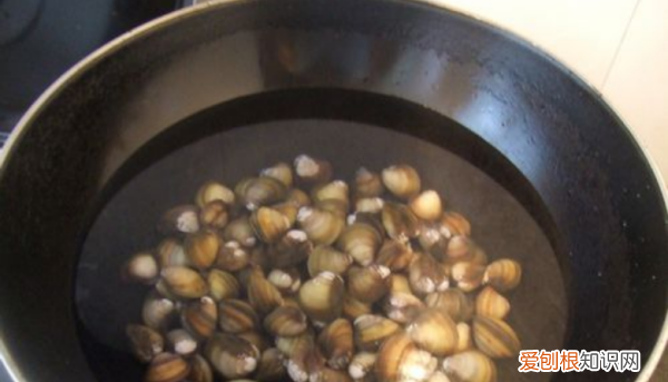 文蛤如何清洗，如何清洗“文蛤”