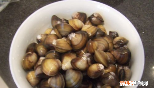 文蛤如何清洗，如何清洗“文蛤”