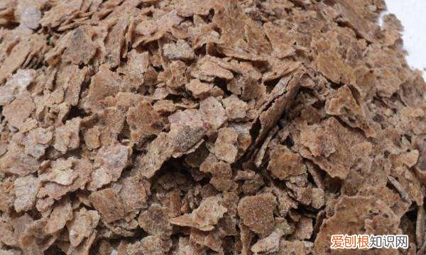 花生麸怎么发酵水肥，花生麸有机肥的制作方法视频