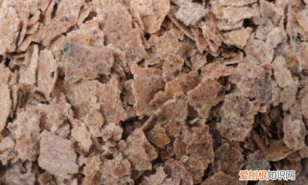 花生麸怎么发酵水肥，花生麸有机肥的制作方法视频